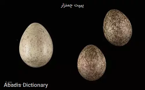پیپت چمنزار